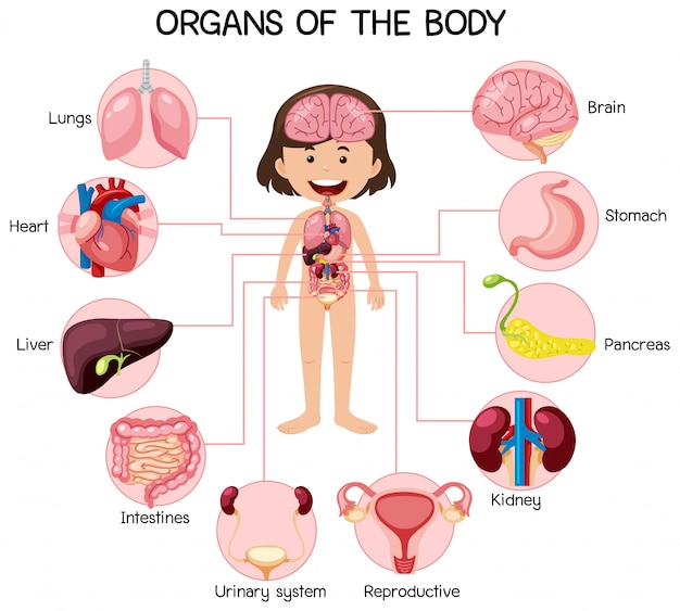 乳腺癌有什么症状图片