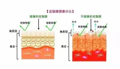 为什么皮肤不吸收