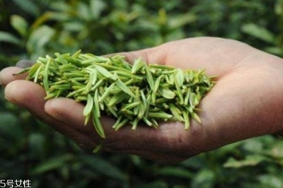 用茶叶洗头发什么好处吗