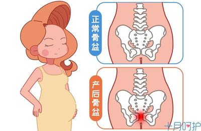 屁股为什么会扁呢
