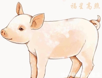 猪和猪生什么属相最好 属猪和属猪的生什么属相的孩子