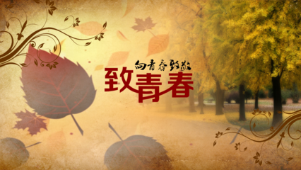 青春无瑕的意思是什么