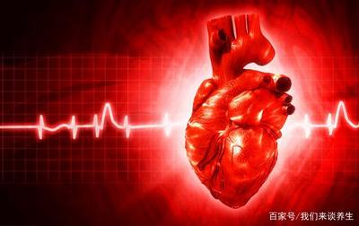 瓣膜是什么样的