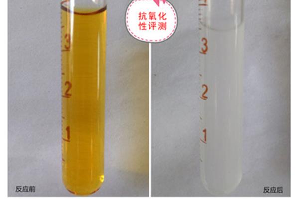 雪肌精化妆水盈润型成分是什么?